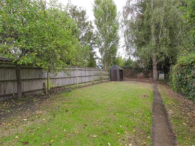 Picture 17